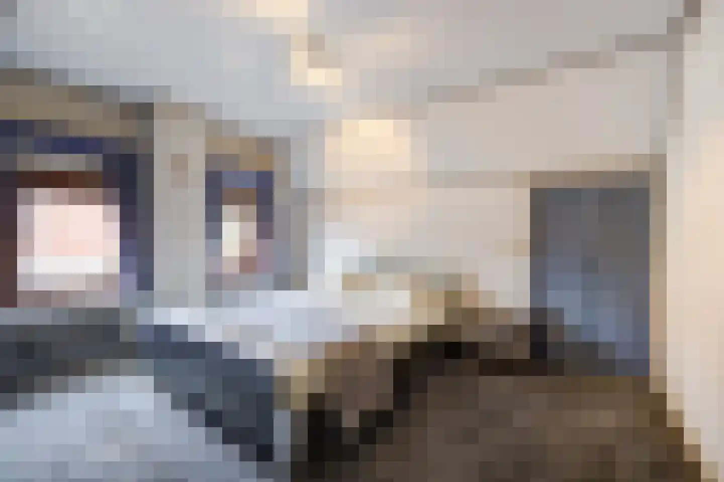 Rucphensestraat 66 St. Willebrord thumbnail 35