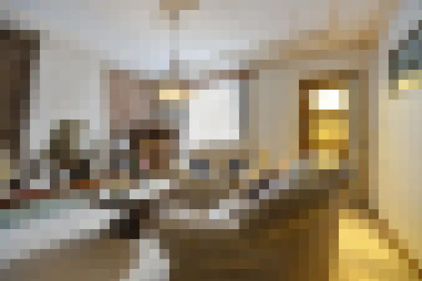 Rucphensestraat 66 St. Willebrord thumbnail 7