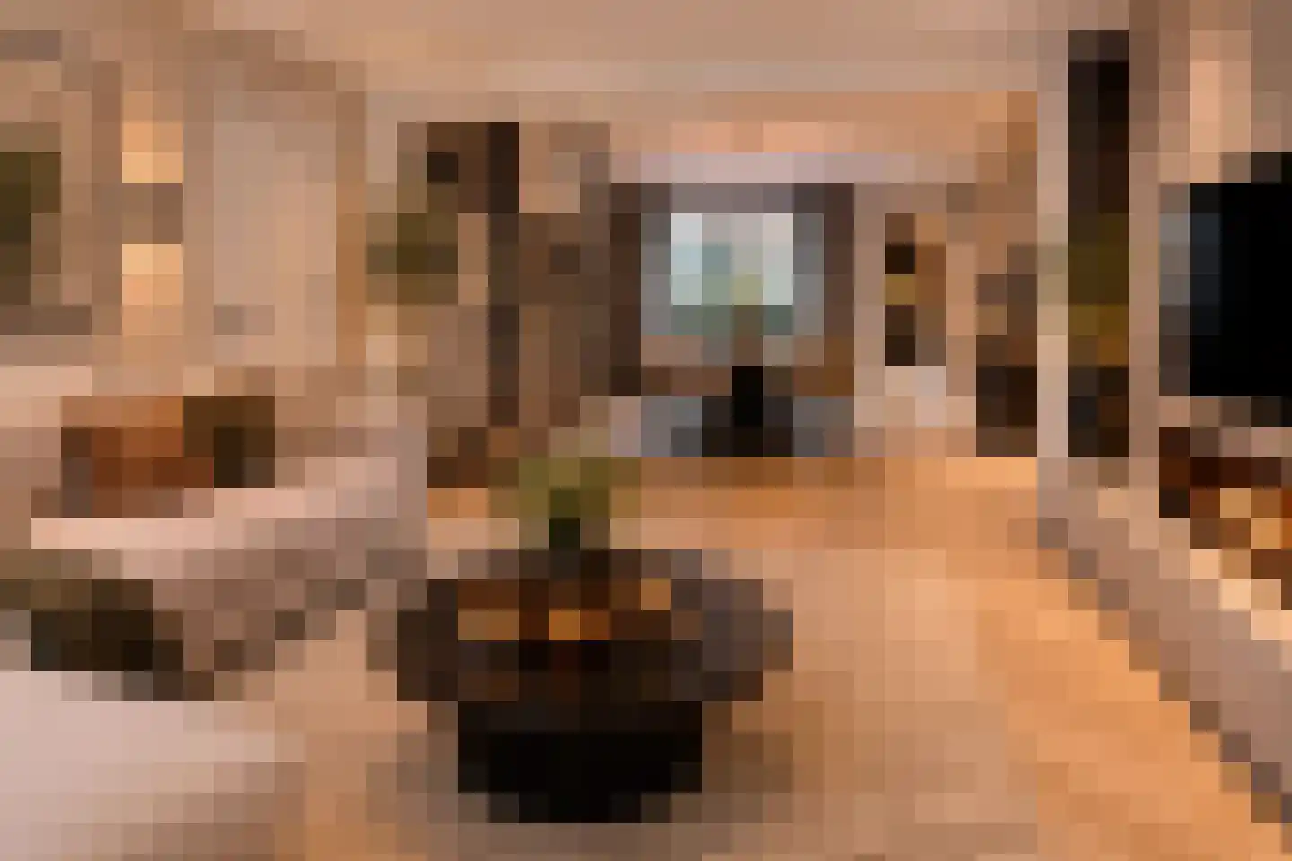 Rucphensestraat 66 St. Willebrord thumbnail 8