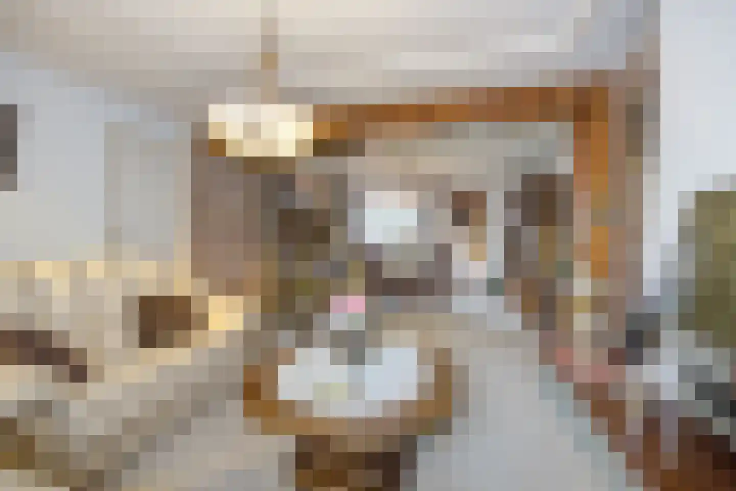 Rucphensestraat 66 St. Willebrord thumbnail 9