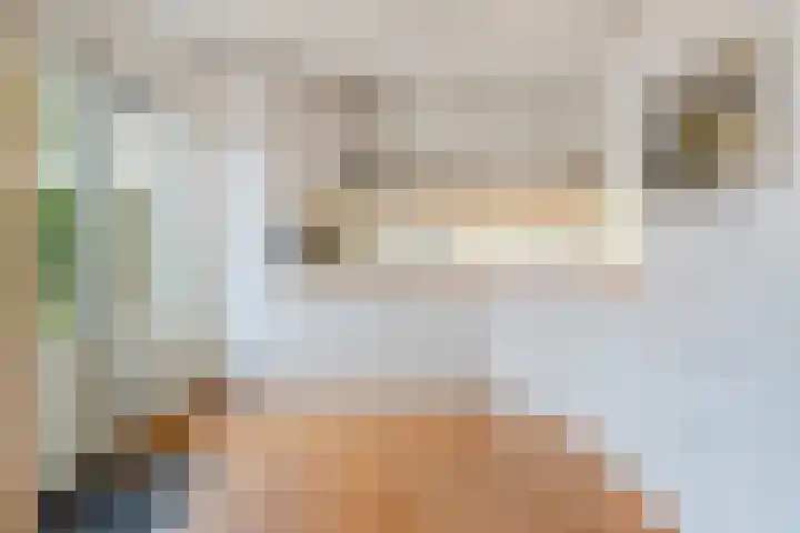 Rudelsheimmarke 31 Zwolle thumbnail 14