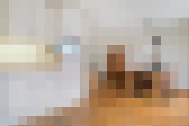 Rudelsheimmarke 31 Zwolle thumbnail 16