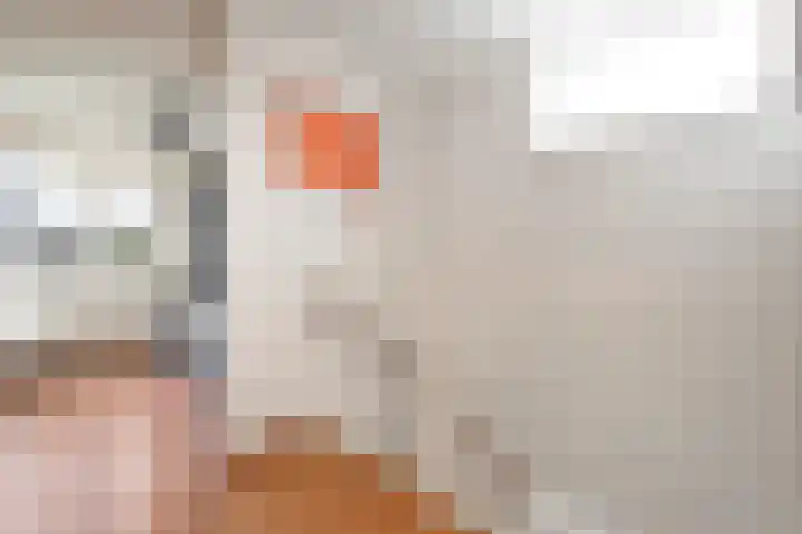 Rudelsheimmarke 31 Zwolle thumbnail 17