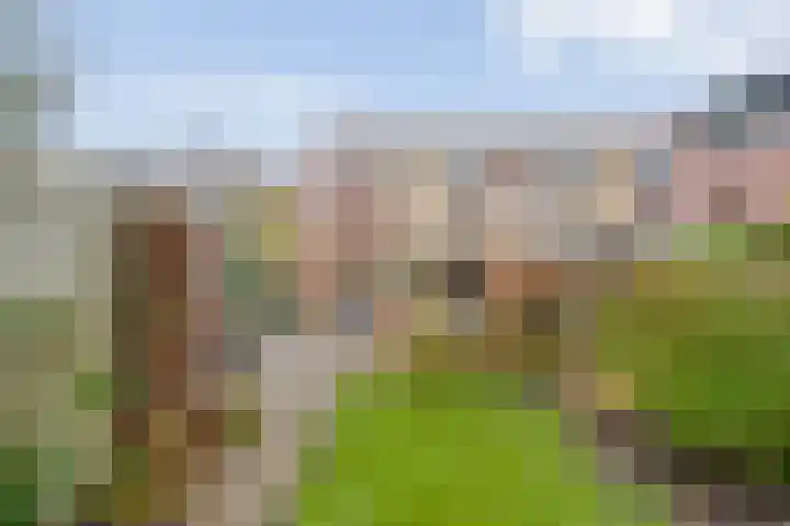 Rudelsheimmarke 31 Zwolle thumbnail 28