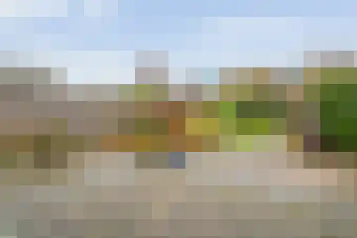 Rudelsheimmarke 31 Zwolle thumbnail 29