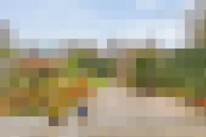 Rudelsheimmarke 31 Zwolle thumbnail 30
