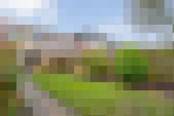 Rudelsheimmarke 31 Zwolle thumbnail 31