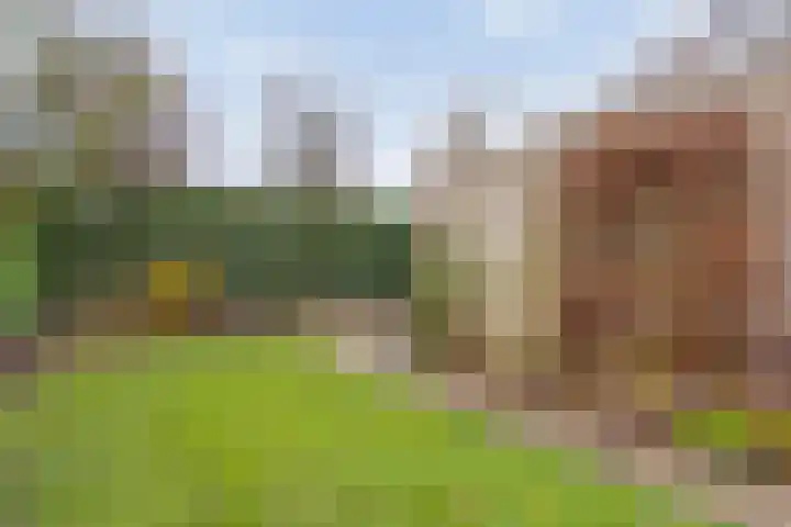 Rudelsheimmarke 31 Zwolle thumbnail 32
