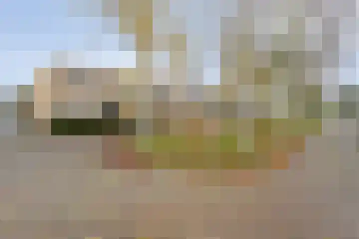 Rudelsheimmarke 31 Zwolle thumbnail 33