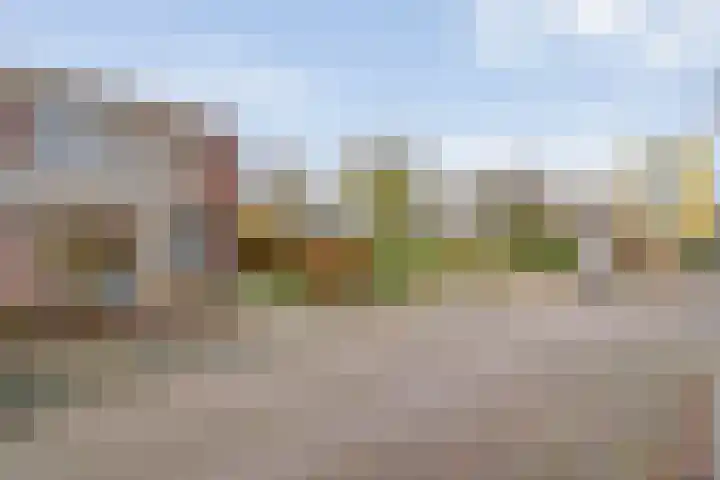 Rudelsheimmarke 31 Zwolle thumbnail 34