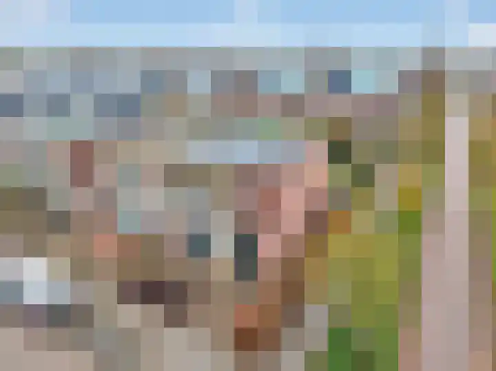 Rudelsheimmarke 31 Zwolle thumbnail 35