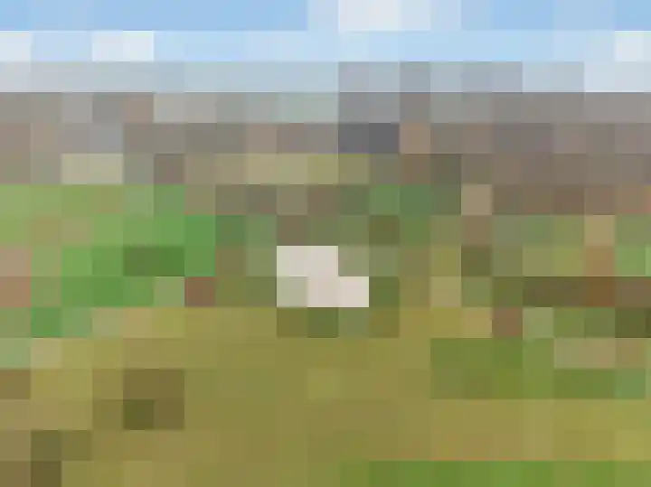 Rudelsheimmarke 31 Zwolle thumbnail 37