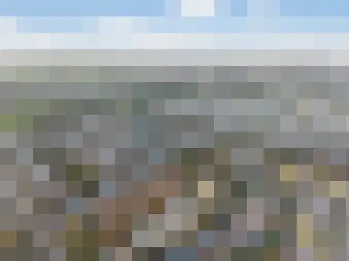 Rudelsheimmarke 31 Zwolle thumbnail 38