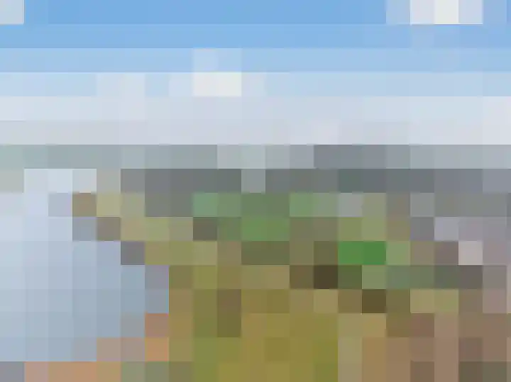 Rudelsheimmarke 31 Zwolle thumbnail 4