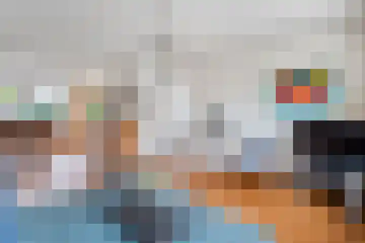 Rudelsheimmarke 31 Zwolle thumbnail 9