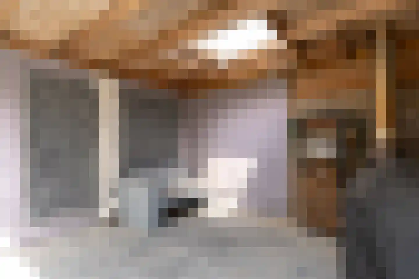Rudelsheimmarke 7 Zwolle thumbnail 25