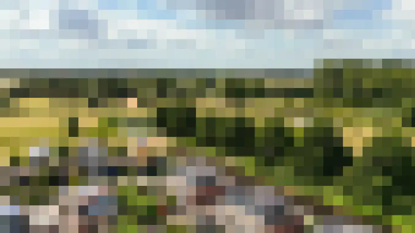 Rudelsheimmarke 7 Zwolle thumbnail 31