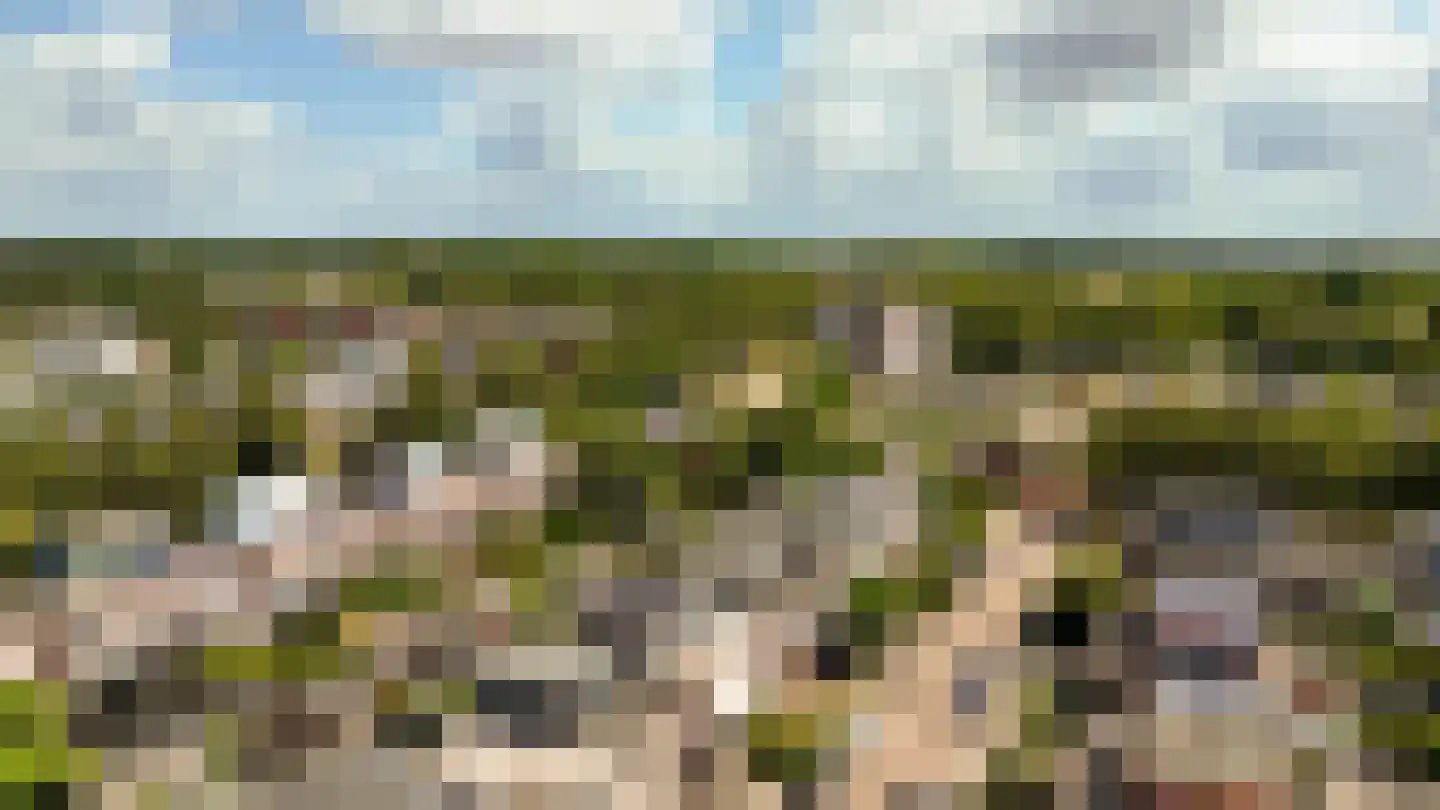 Rudelsheimmarke 7 Zwolle thumbnail 32