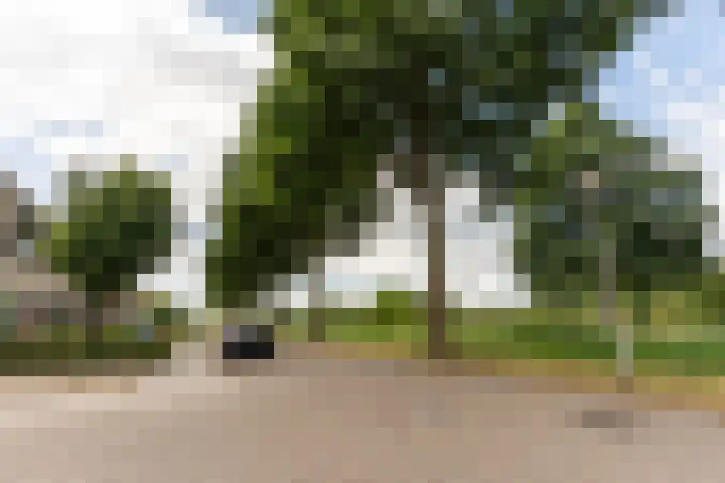 Rudelsheimmarke 7 Zwolle thumbnail 33