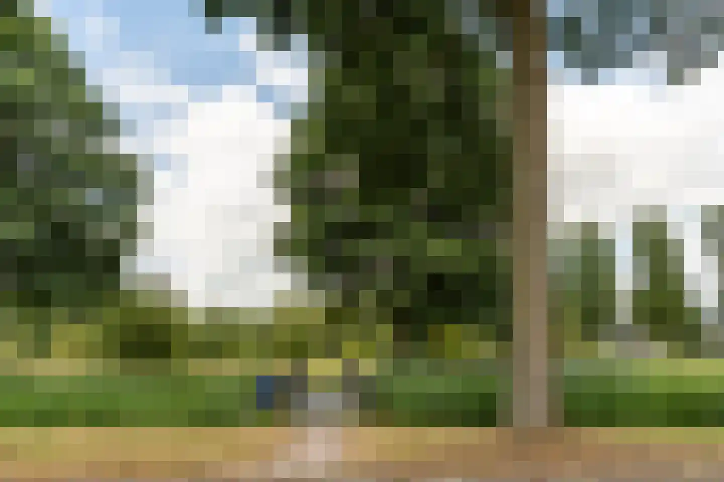 Rudelsheimmarke 7 Zwolle thumbnail 35