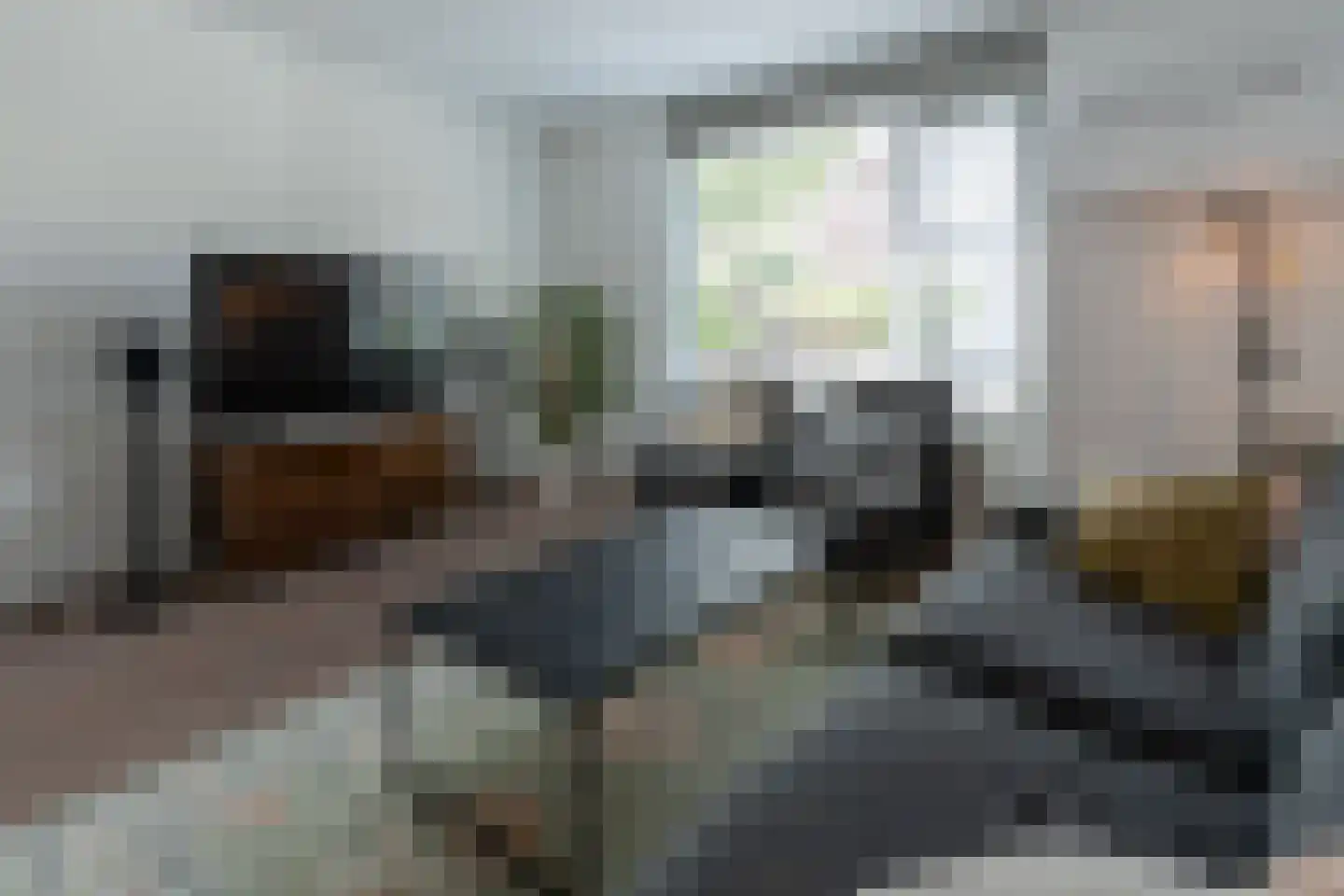 Rudelsheimmarke 7 Zwolle thumbnail 5