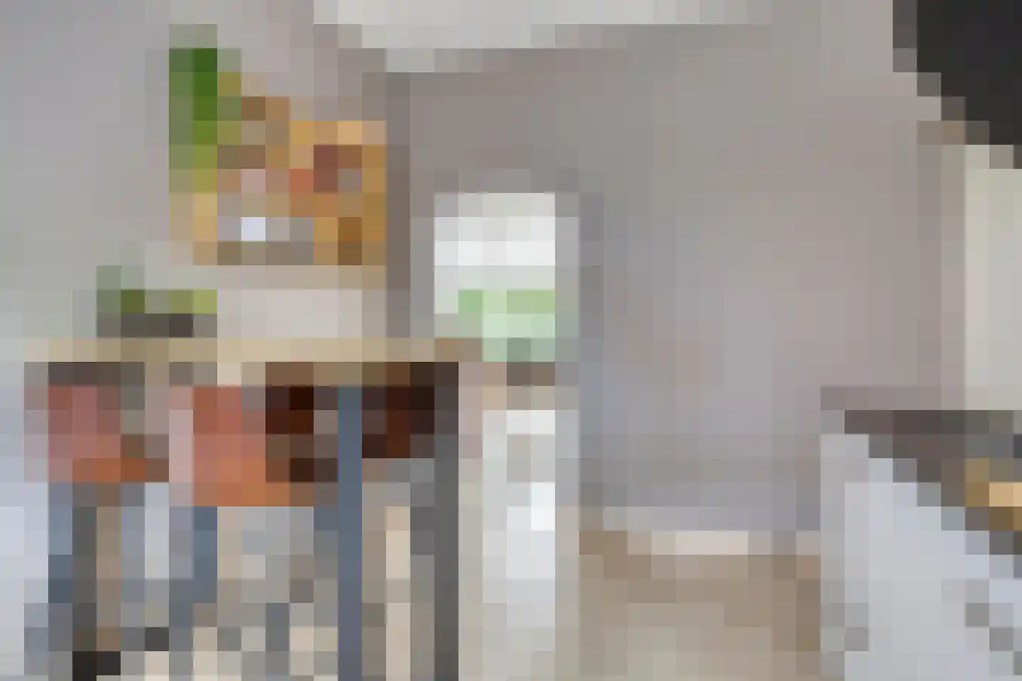 Rudigerstraat 19 Volkel thumbnail 11