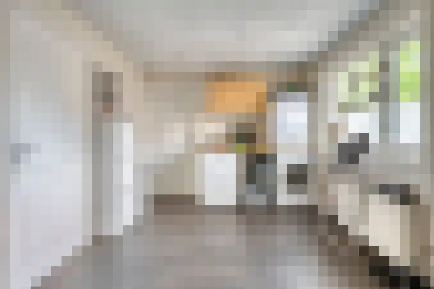Rudigerstraat 19 Volkel thumbnail 13