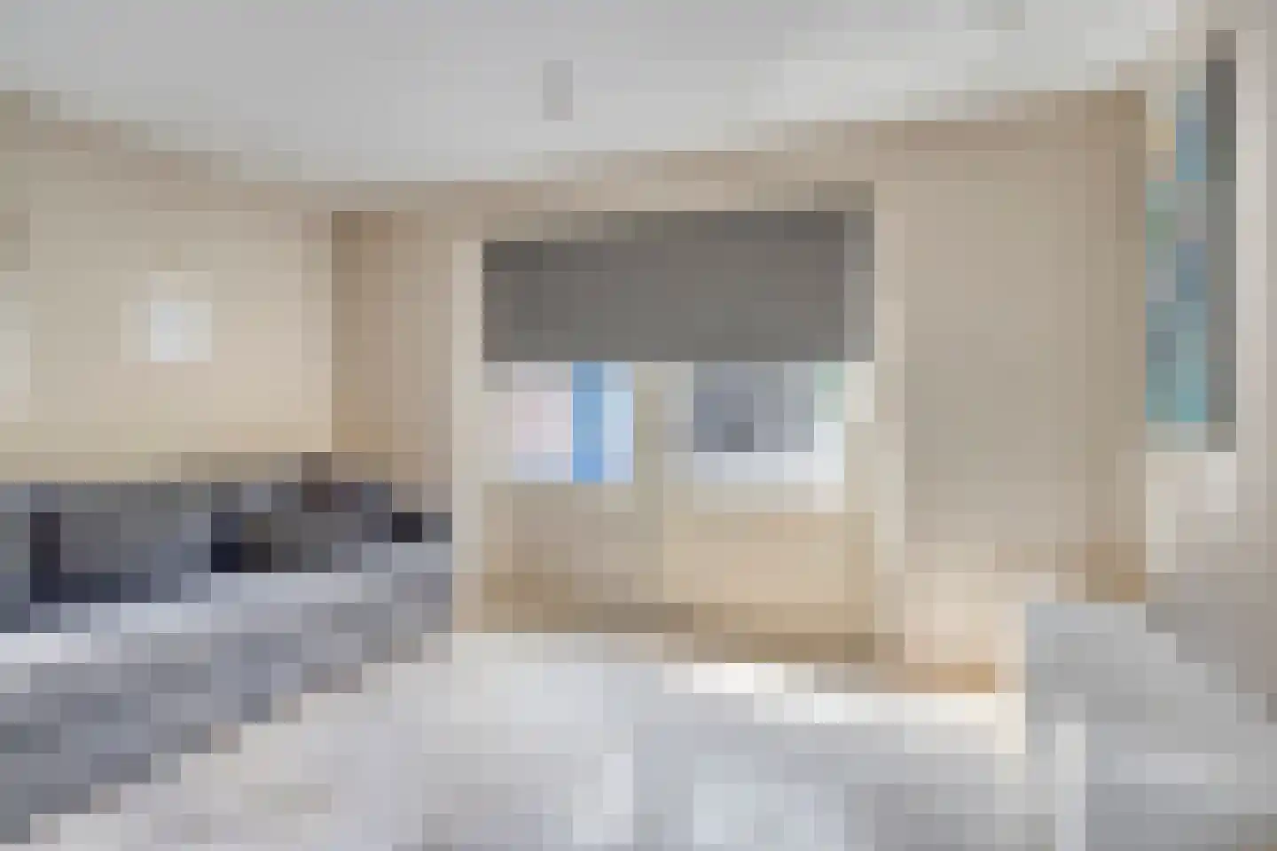 Rudigerstraat 19 Volkel thumbnail 18