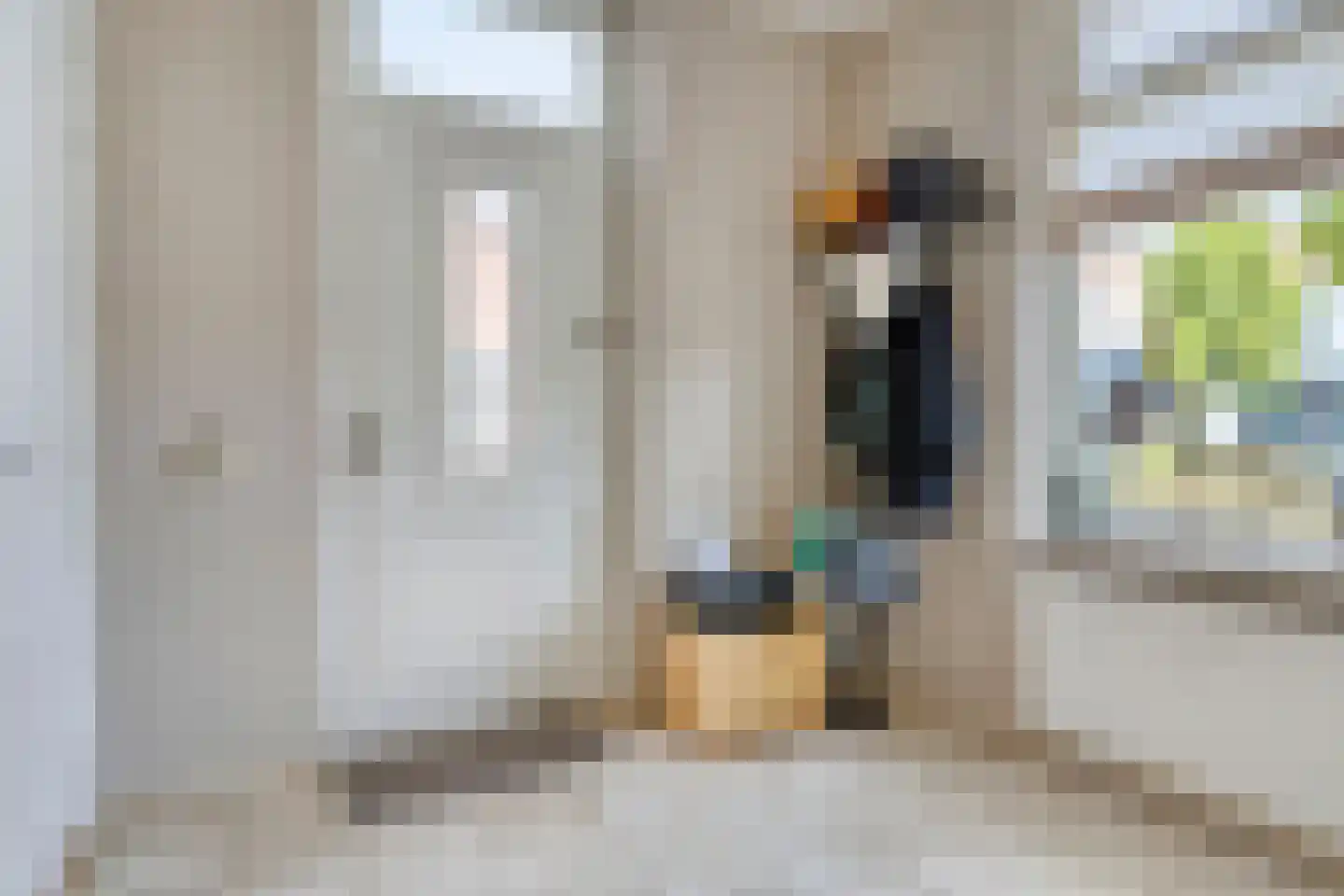 Rudigerstraat 19 Volkel thumbnail 20