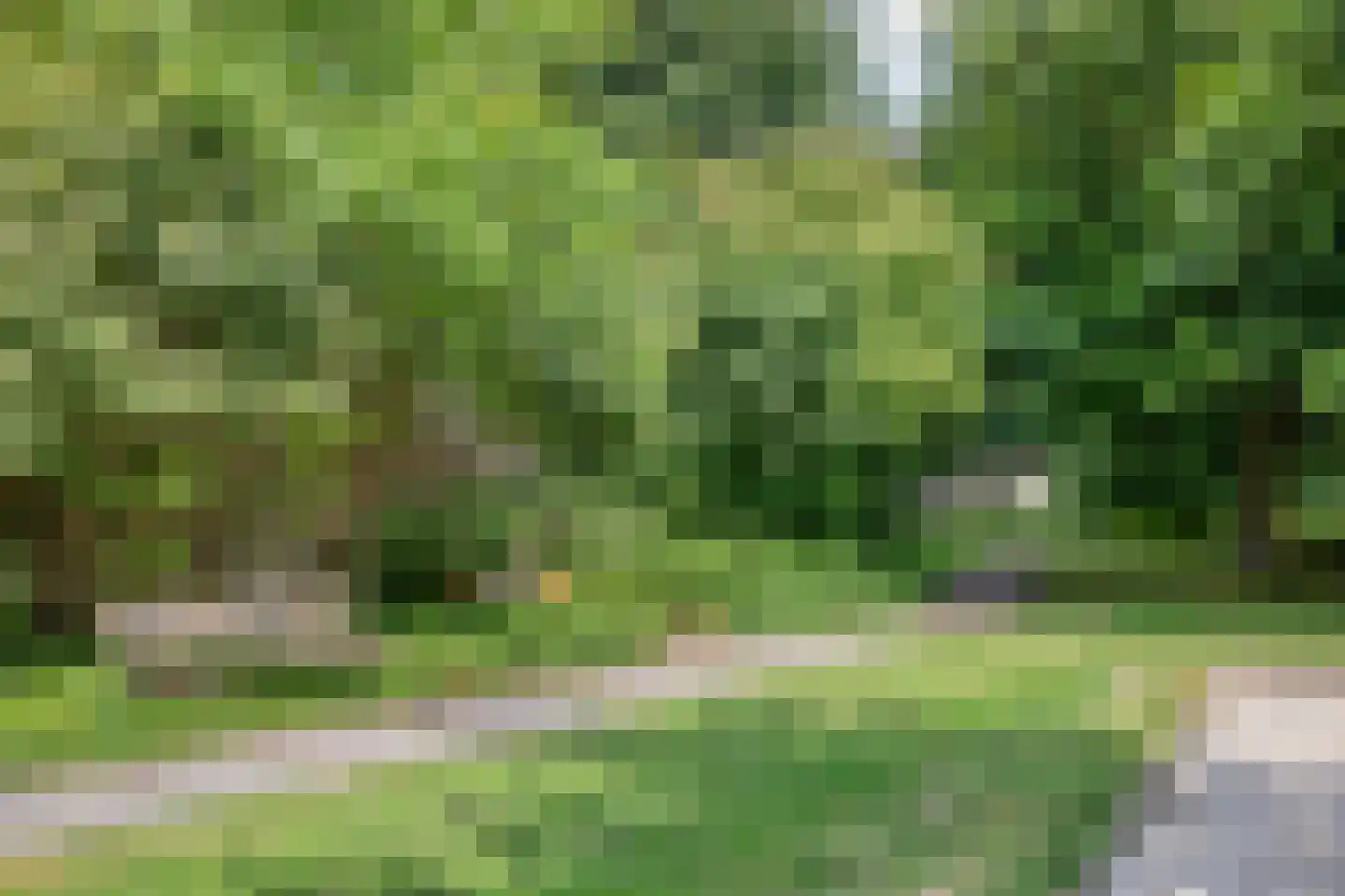 Rudigerstraat 19 Volkel thumbnail 48