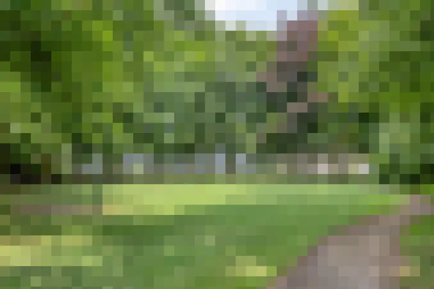 Rudigerstraat 19 Volkel thumbnail 50