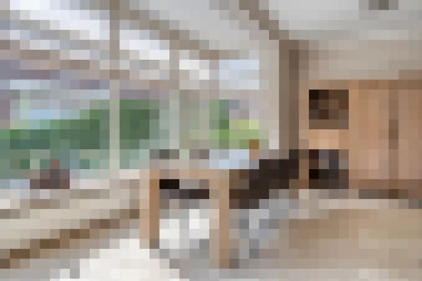 Rudigerstraat 19 Volkel thumbnail 6