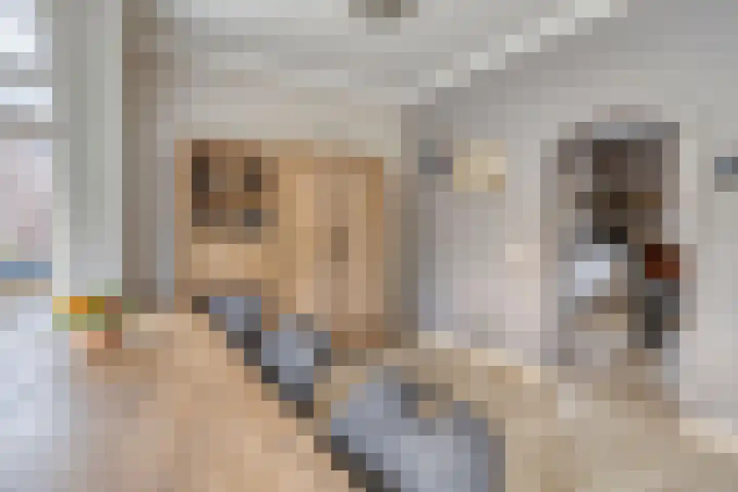 Rudigerstraat 19 Volkel thumbnail 7