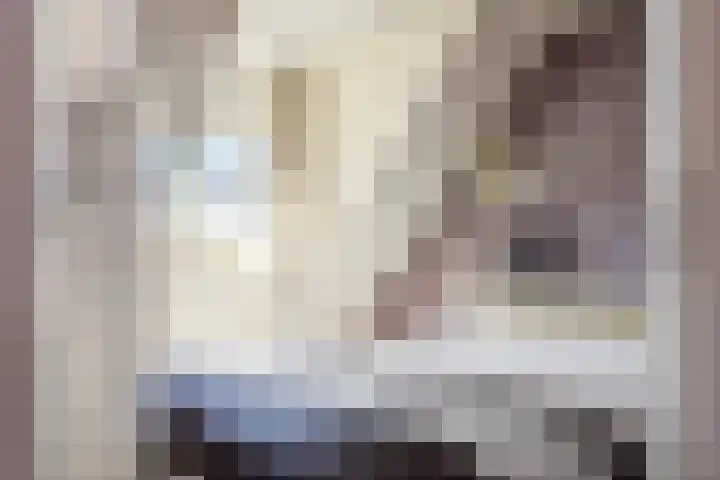 Rudigerstraat 22 Volkel thumbnail 15
