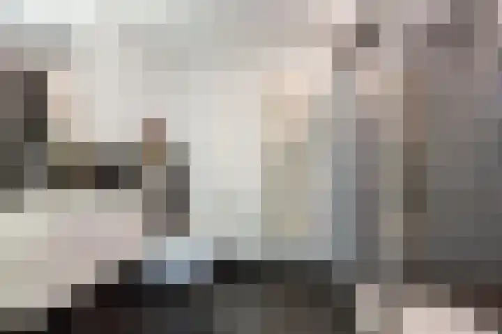 Rudigerstraat 22 Volkel thumbnail 17