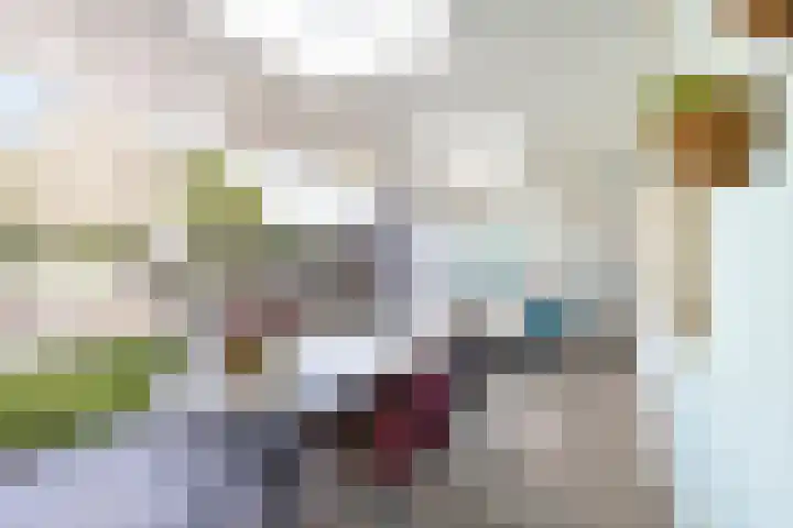Rudigerstraat 22 Volkel thumbnail 22