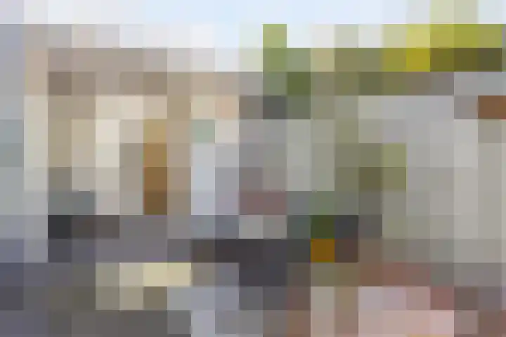 Rudigerstraat 22 Volkel thumbnail 25
