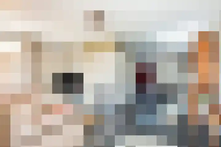 Rudigerstraat 22 Volkel thumbnail 4
