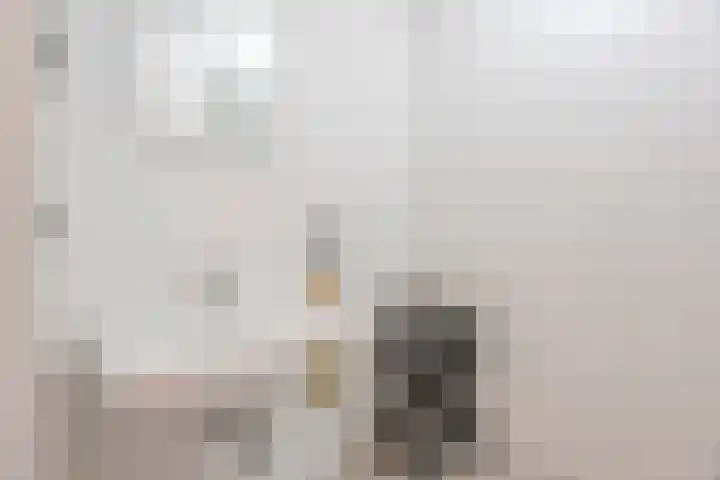 Rudigerstraat 32 C Volkel thumbnail 15
