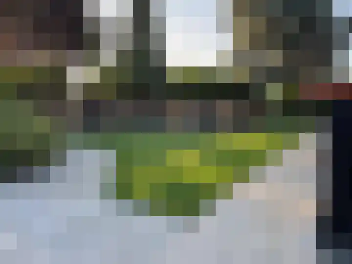 Rudigerstraat 32 C Volkel thumbnail 19