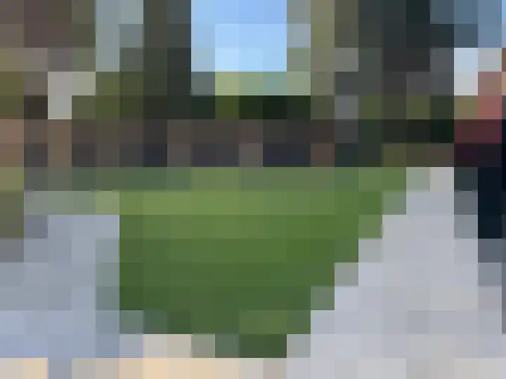 Rudigerstraat 32 C Volkel thumbnail 23