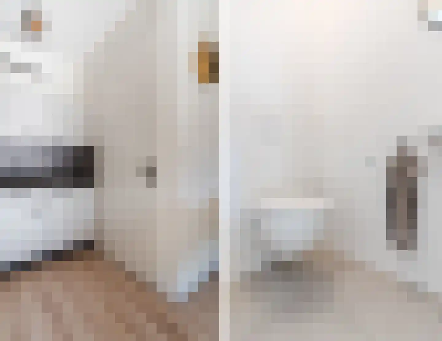 Rudigerstraat 32 K Volkel thumbnail 22