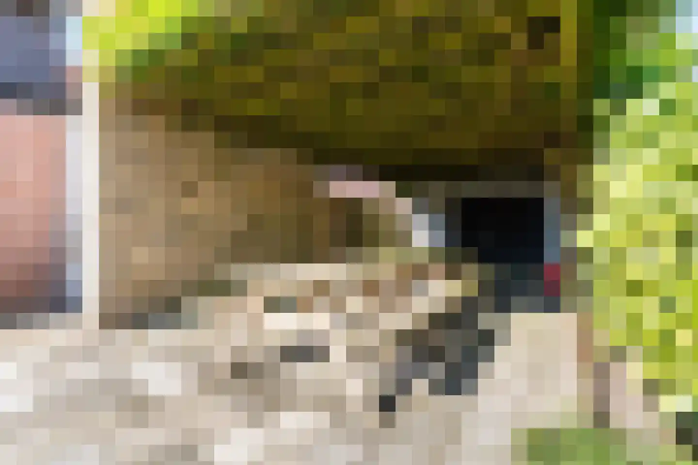 Rudigerstraat 32 K Volkel thumbnail 39