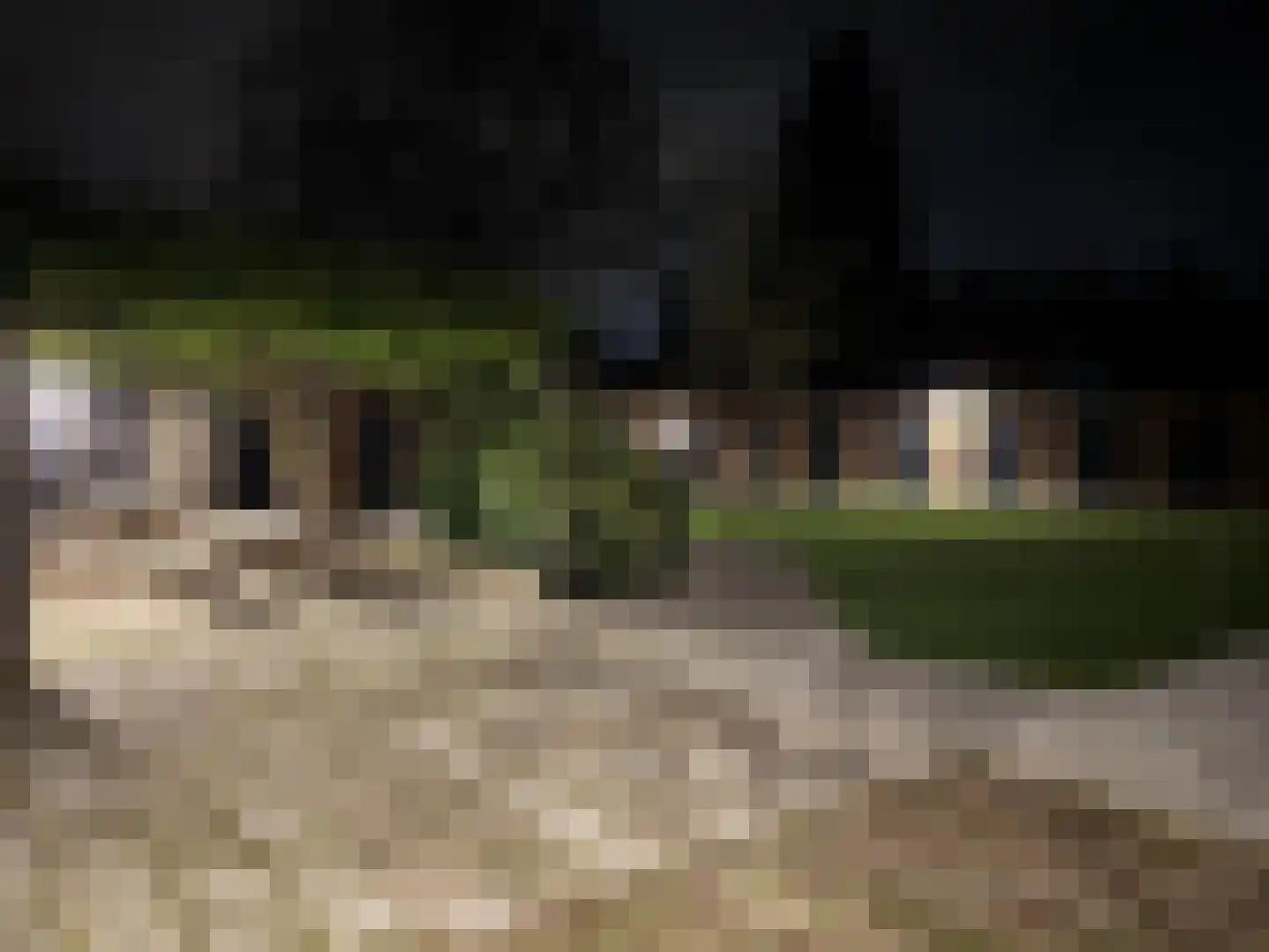 Rudigerstraat 32 K Volkel thumbnail 54