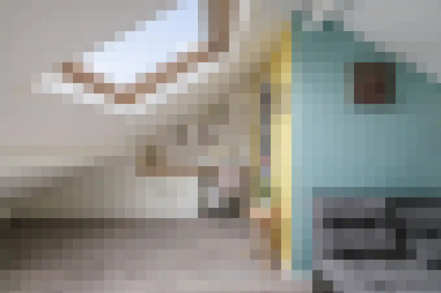 Rudolf Heyligersstraat 10 Deventer thumbnail 46