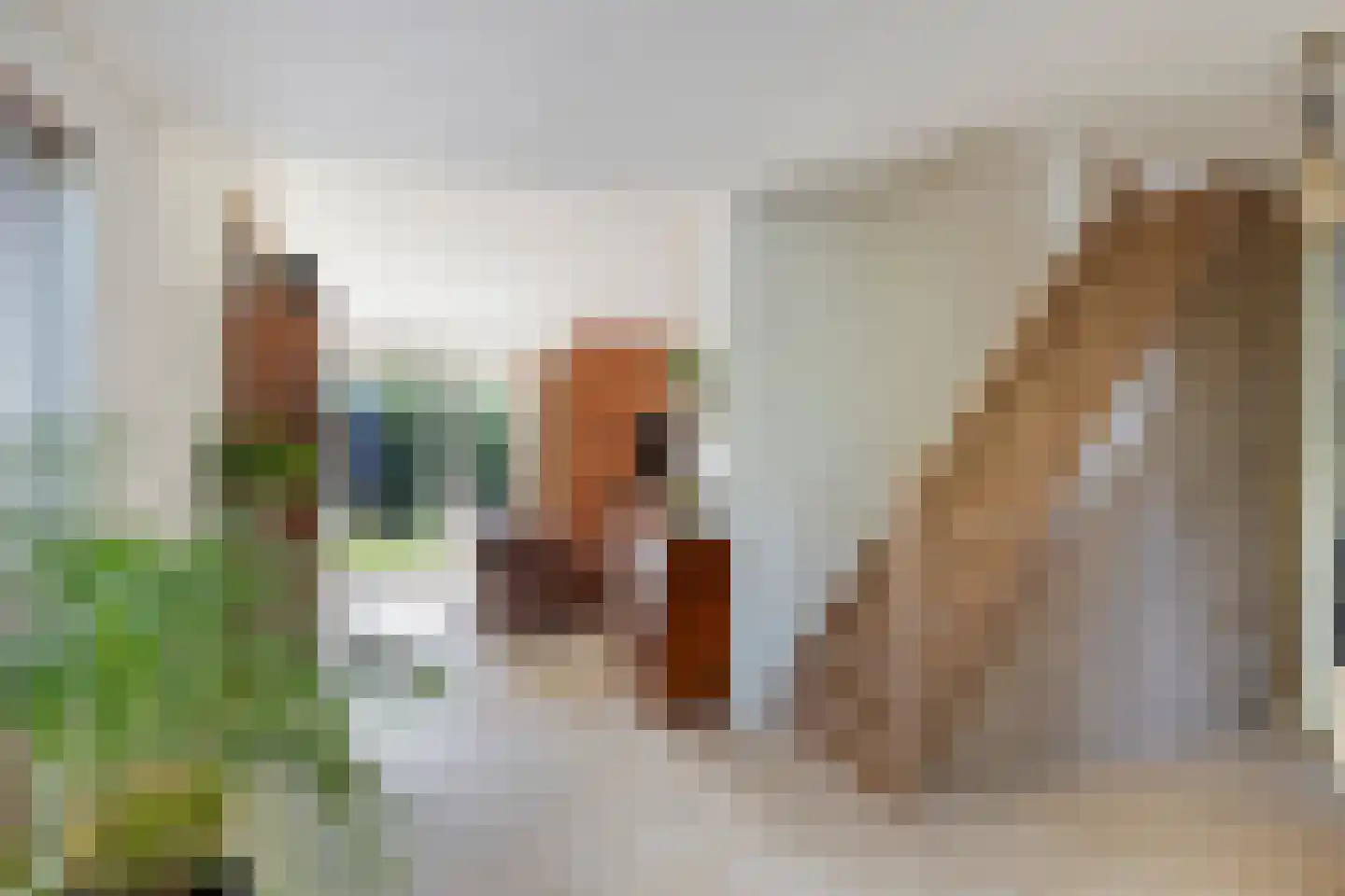 Rudolf Heyligersstraat 6 Deventer thumbnail 19