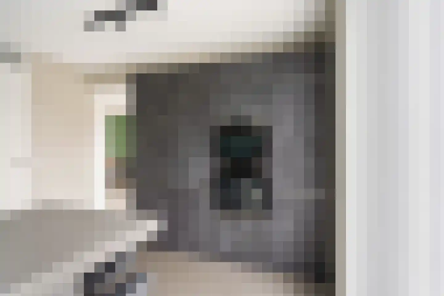 Rudolf Kattnigghof 1 Utrecht thumbnail 16