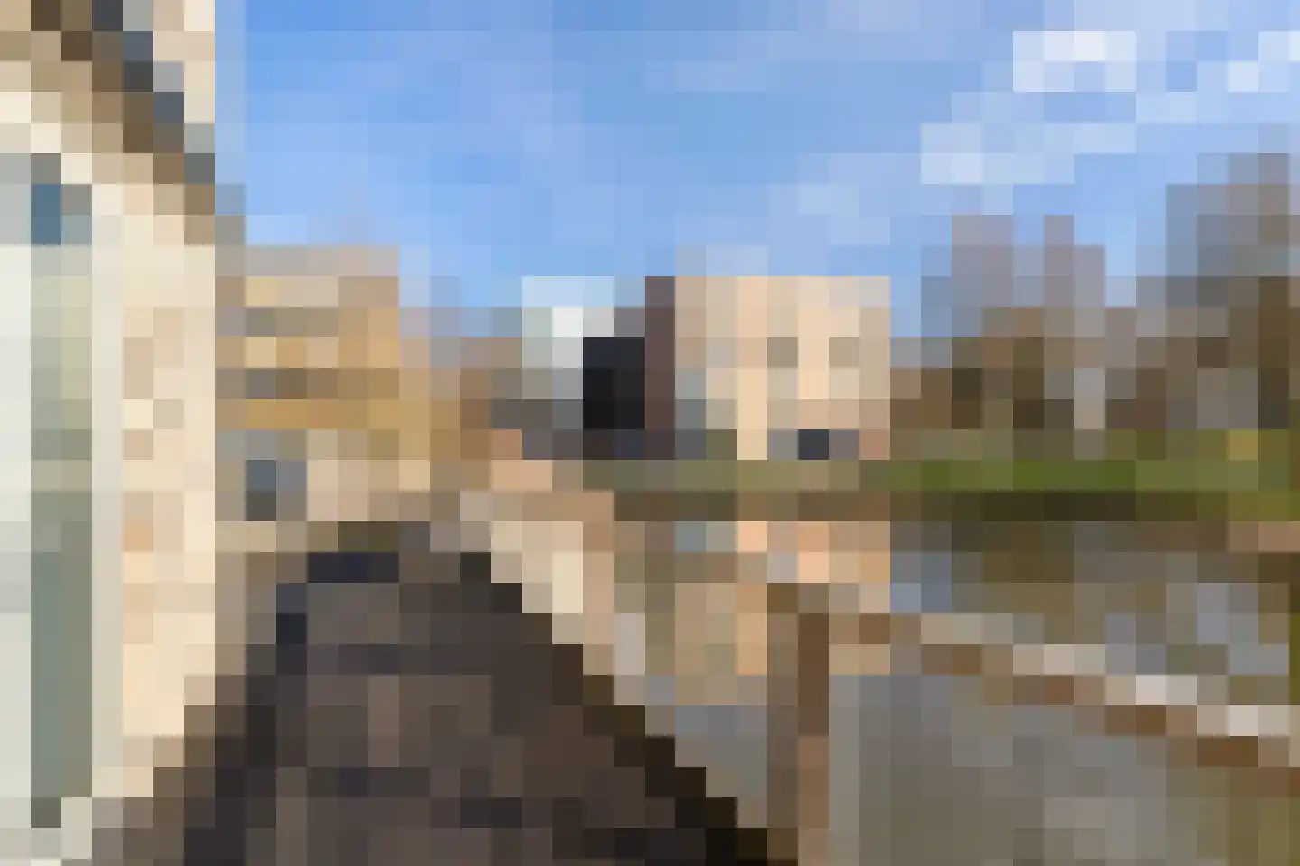 Rudolf Kattnigghof 1 Utrecht thumbnail 22