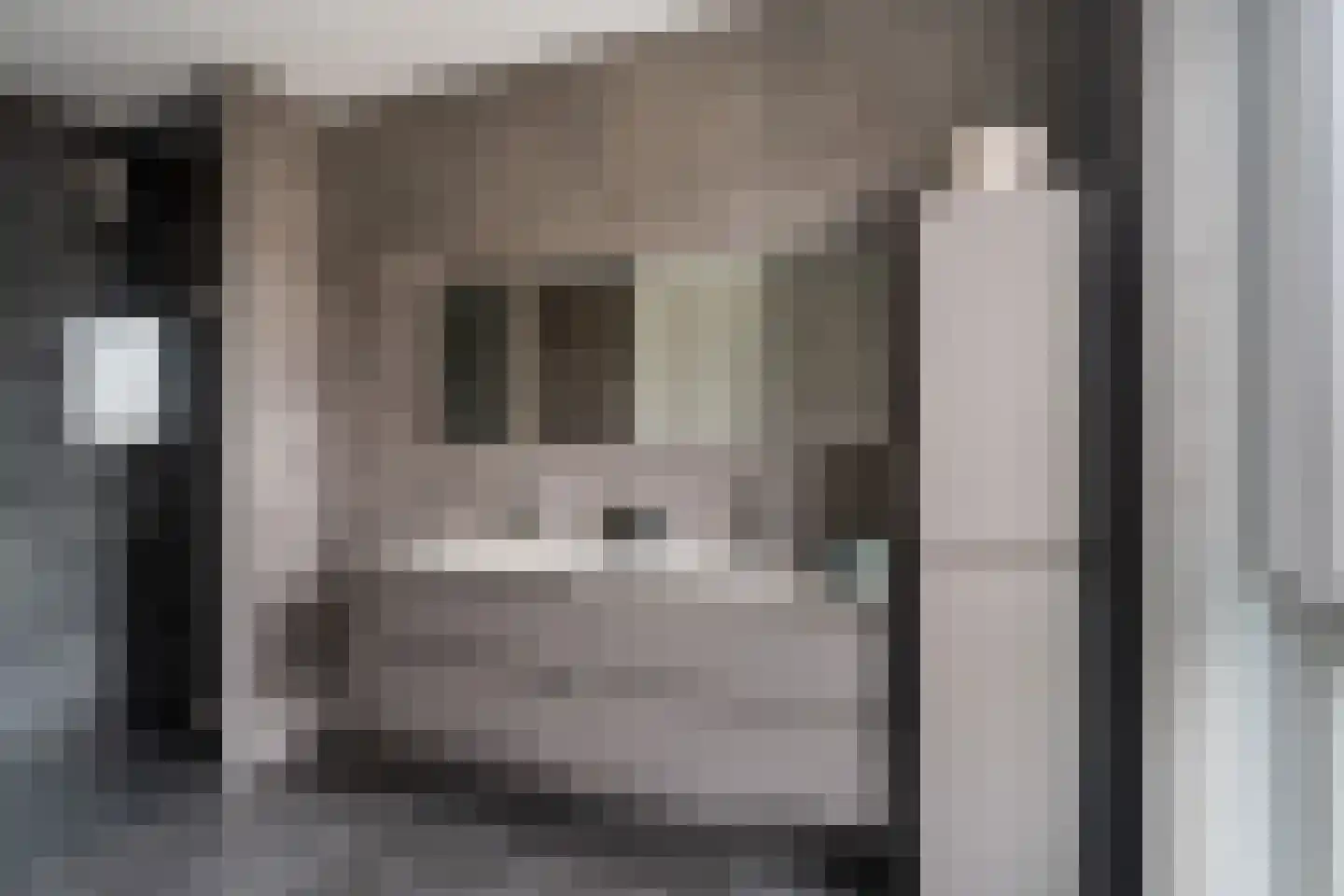 Rudolf Kattnigghof 1 Utrecht thumbnail 30