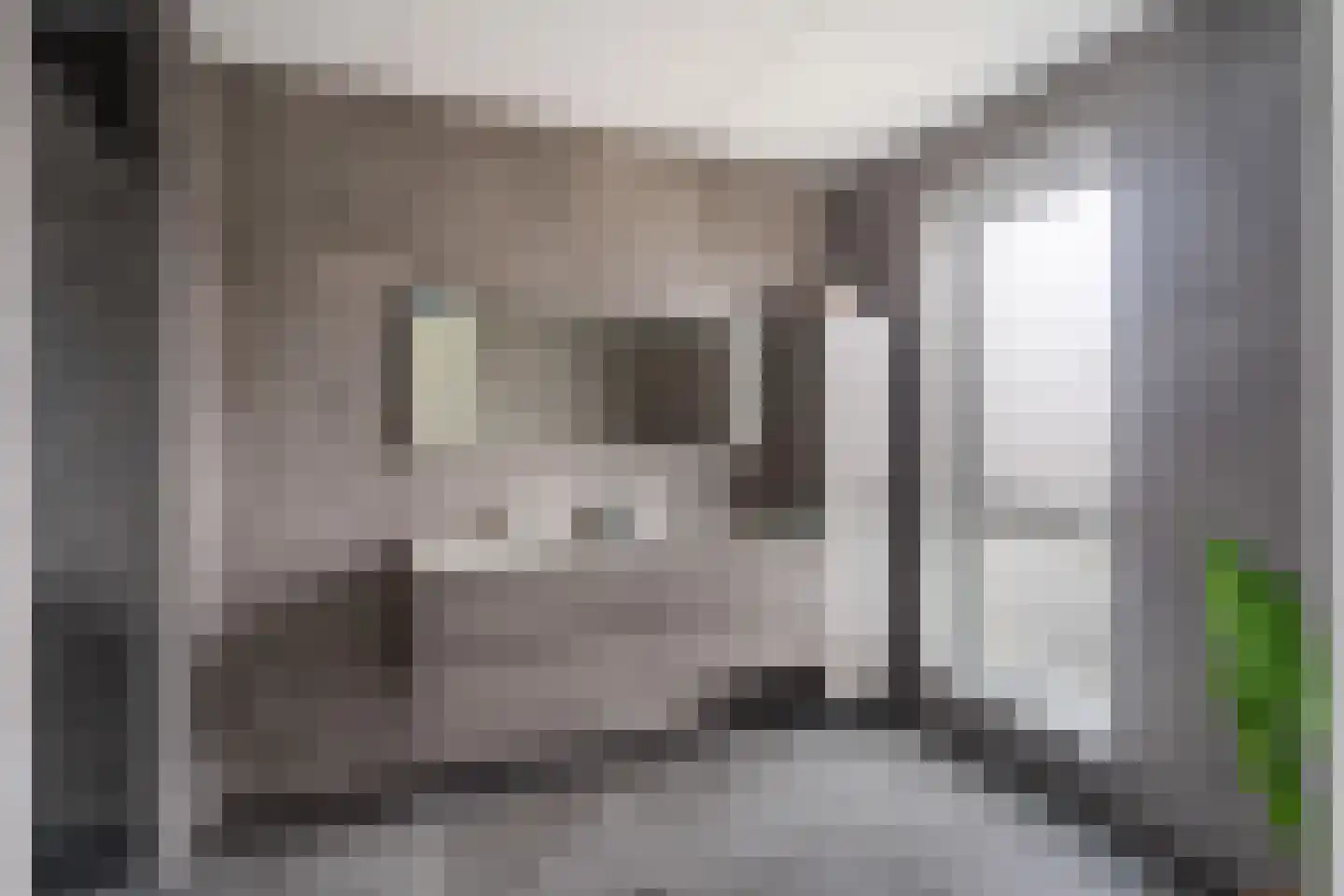 Rudolf Kattnigghof 1 Utrecht thumbnail 31